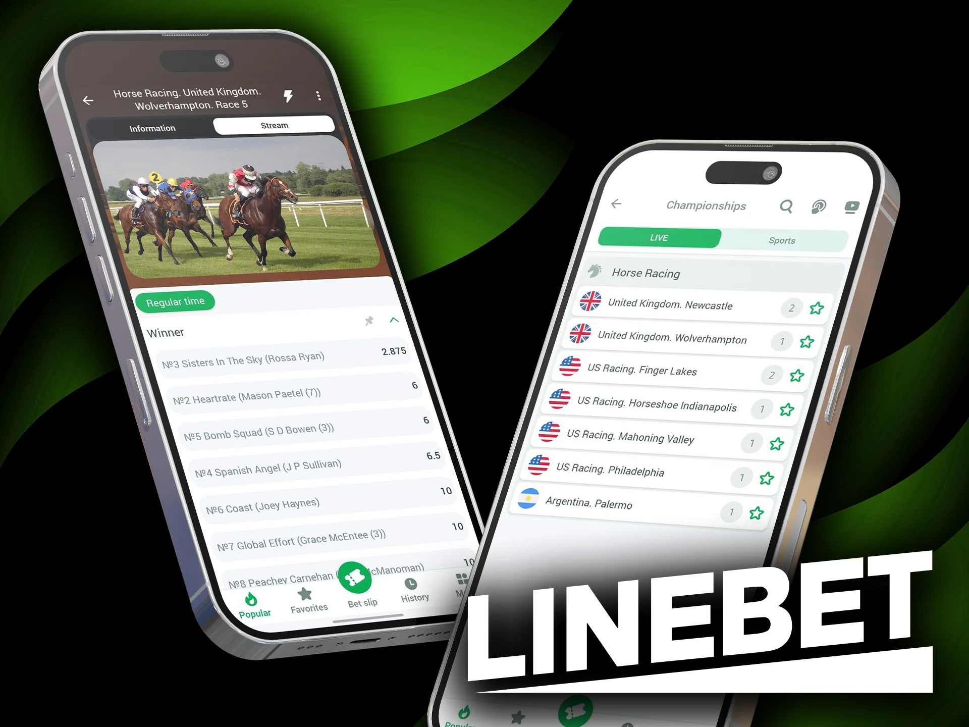 Get the Best Betting Experience with Linebet Horse Racing App for India.