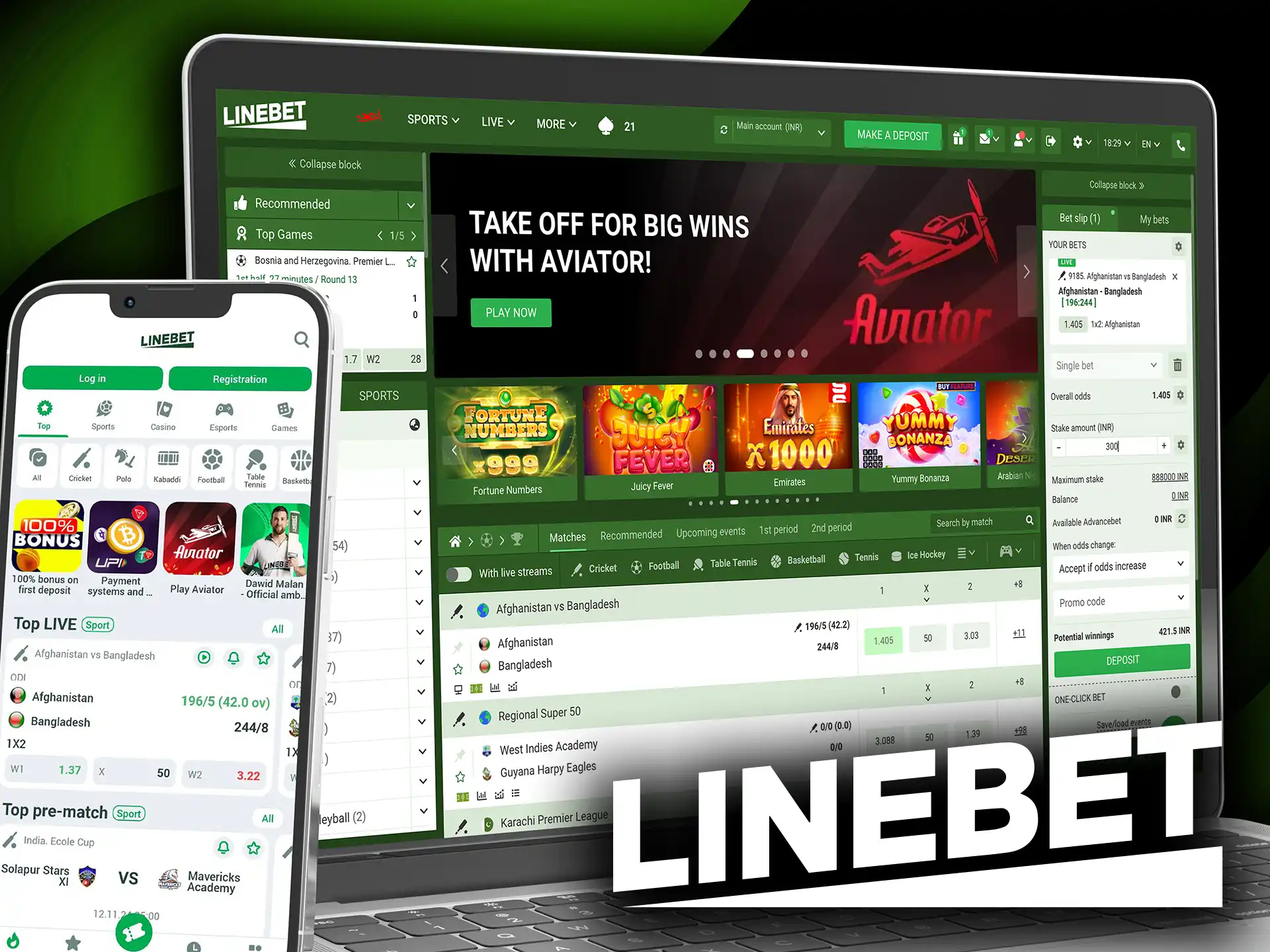 Conclusion why Linebet is the top choice for Indian bettors."